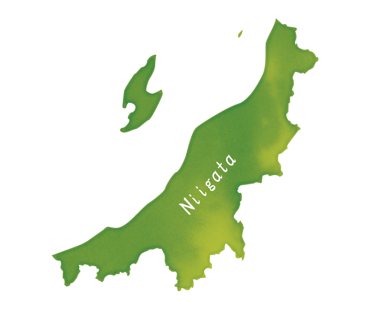 新潟県 Niigata Ken の地図 地形のイラスト